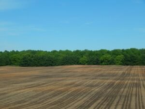 A wide view of a freshly plowed field against a backdrop of lush green forest and clear blue sky.