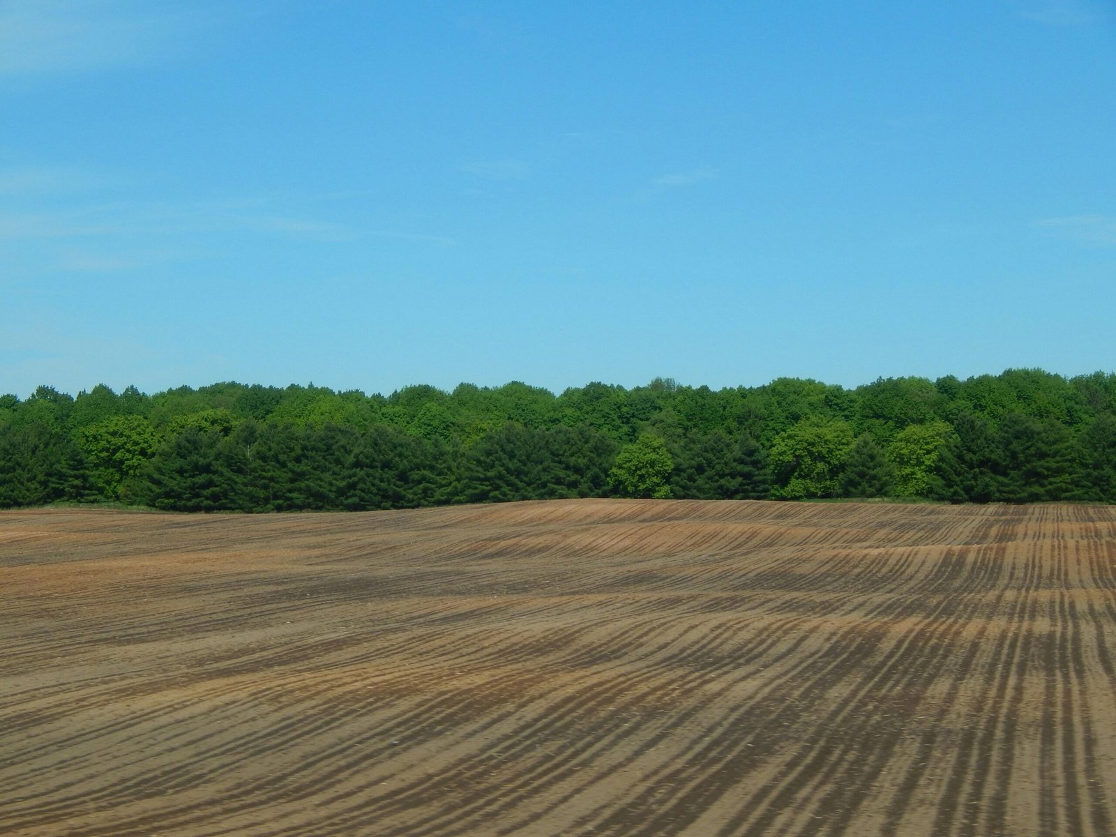 A wide view of a freshly plowed field against a backdrop of lush green forest and clear blue sky.